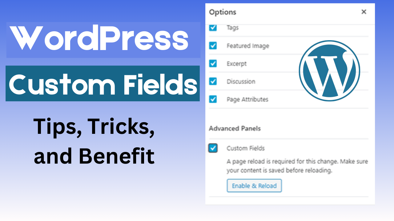 WordPress Custom Fields